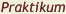 Praktikum